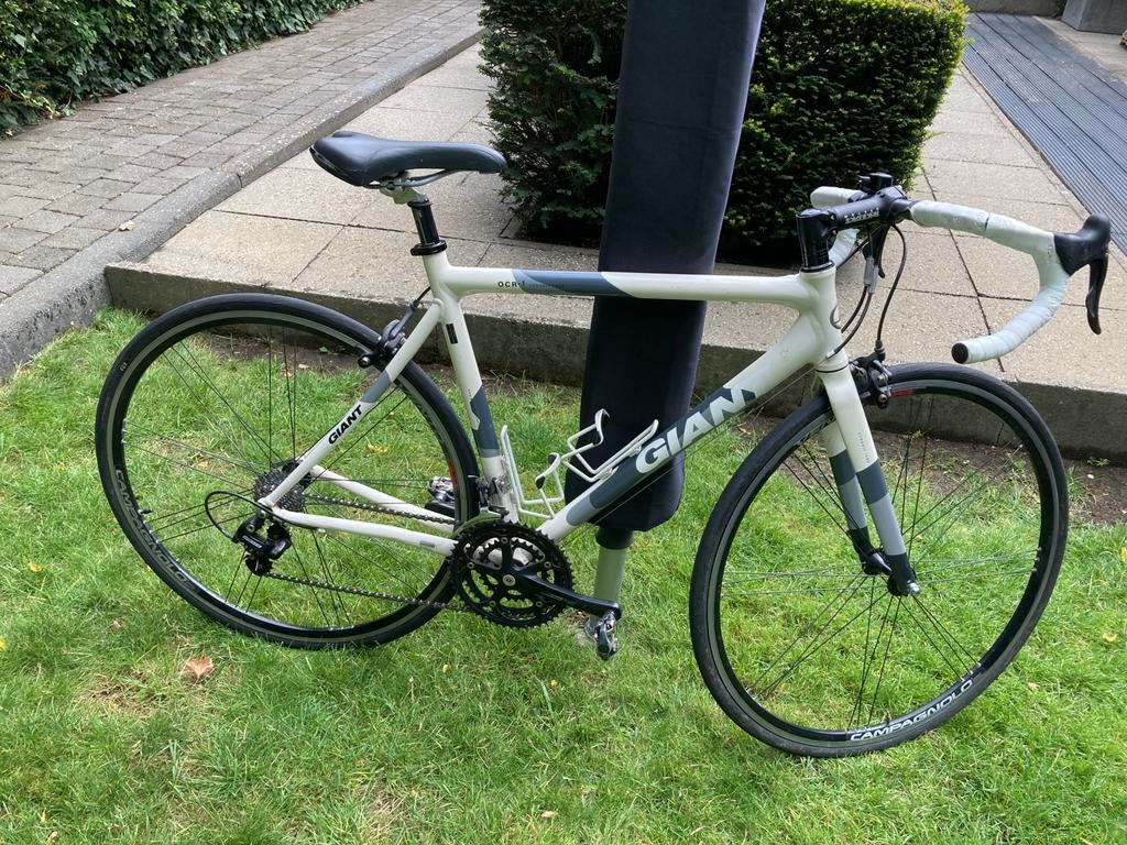 Vélo de route GIANT OCR Campagnolo taille 53, Vélos & Vélomoteurs, Frein sur jante, Enlèvement, 53 à 57 cm, Plus de 20 vitesses