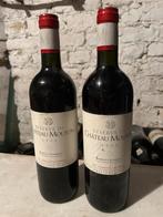 Vin - reserve du chateau mouton 99 - bordeau sup, Collections, Enlèvement, Comme neuf
