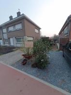 Gratis tuinplanten en struiken mee te nemen, Ophalen