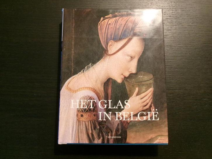 Het glas in België van de oorsprong tot heden  -Luc Engen-, Livres, Histoire nationale, Enlèvement ou Envoi