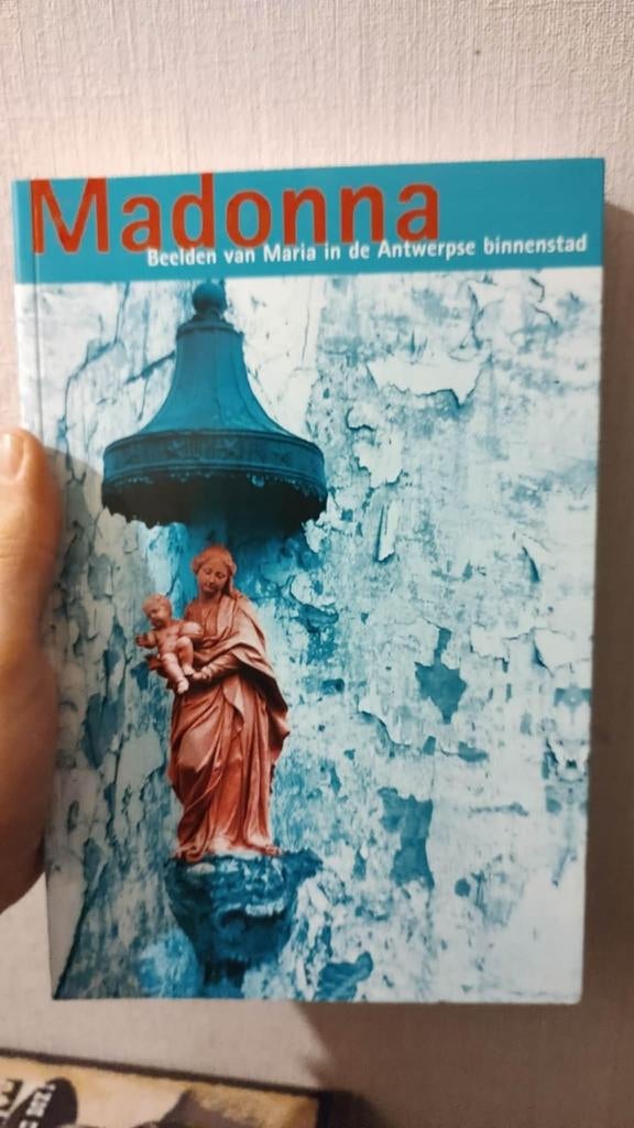 Antwerpen Madonna Beelden van Maria in de Antwerpse binnenst, Boeken, Geschiedenis | Stad en Regio, Nieuw, Ophalen of Verzenden