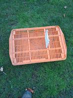 Trasportbak  voor kwartels of kleine kippen 10euro stuk, Dieren en Toebehoren, Vogels | Overige Vogels