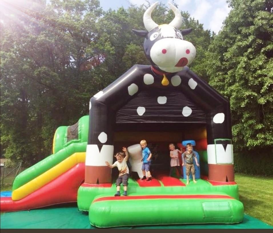 Te huur springkasteel koe met glijbaan, Ophalen