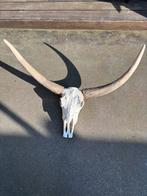 Schedel decoratiestuk, Huis en Inrichting, Ophalen, Zo goed als nieuw