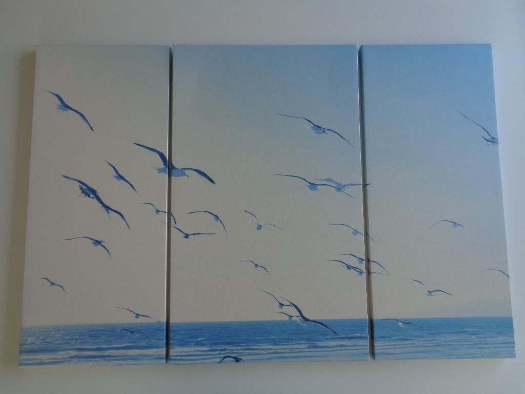 canvas zeemeeuwen boven zee, Huis en Inrichting, Ophalen, Gebruikt, Print, 75 cm of meer