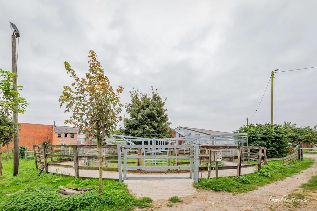 Stapmolen 6 paarden, Dieren en Toebehoren, Ophalen