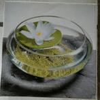 schaal met drijfbloem, Ophalen, Schaal