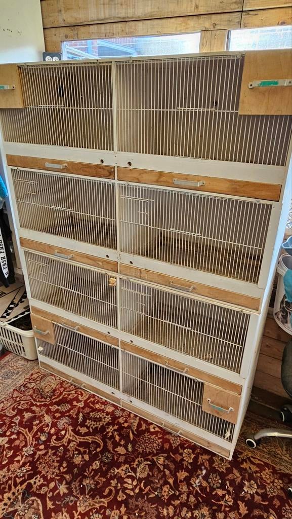 Twee kweek kooien in blokken van vier, Enlèvement, Utilisé, Bois, Cage d'élevage