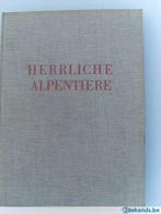Herrliche Alpentiere Bartholome Schocher 1939, Ophalen of Verzenden, Gelezen, Natuurwetenschap