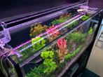 Aquarium LED Verlichting Sera, Dieren en Toebehoren, Ophalen, Zo goed als nieuw, Verlichting of Verwarming