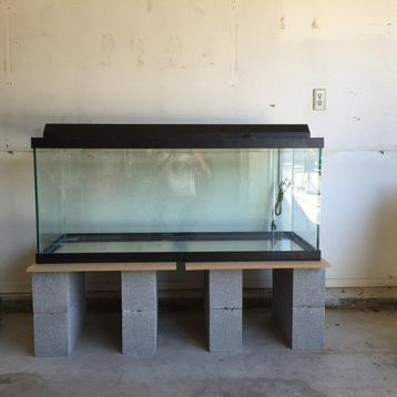 Gezocht aquarium 150-200-250 liter beschikbaar voor biedingen