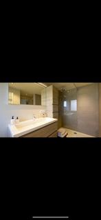 Badkamermeubel met douchewand, Huis en Inrichting, Badkamer | Complete badkamers, Ophalen, Zo goed als nieuw