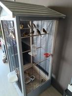 Volière plus canaris, Dieren en Toebehoren, Vogels | Kanaries, Kleurkanarie, Meerdere dieren