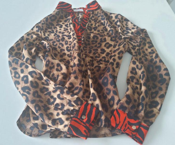Blouse, Kleding | Dames, Blouses en Tunieken, Zo goed als nieuw, Maat 38/40 (M), Zwart, Ophalen of Verzenden