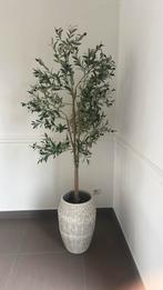 Mooie hoge keramische bloempot met olijfplant, Huis en Inrichting, Woonaccessoires | Kunstplanten en Kunstbloemen, Ophalen, Zo goed als nieuw