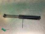Set Gasdempers Achterklep van een Renault Twingo (Twingo 07-, Auto-onderdelen, Gebruikt, -, Renault, -