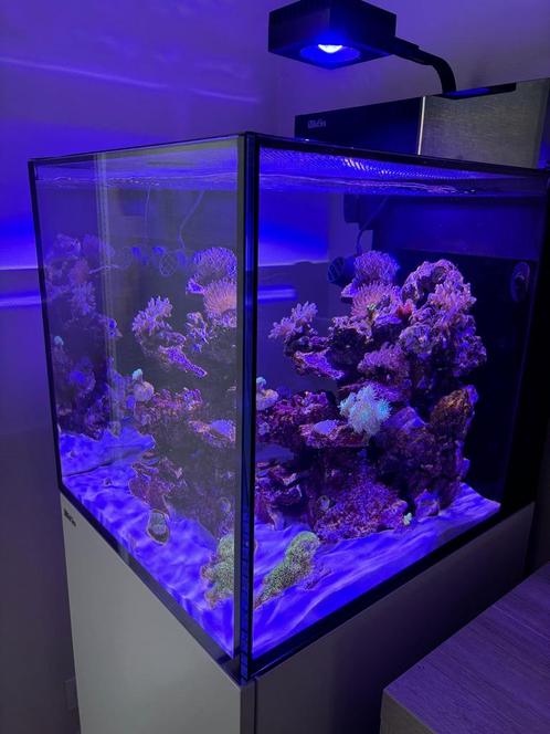 Red Sea max NANO XL G2, Dieren en Toebehoren, Vissen | Aquaria en Toebehoren, Zo goed als nieuw, Ophalen