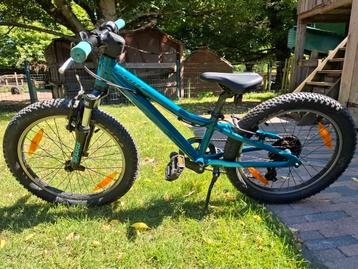 Scott contessa 20, Enlèvement, Comme neuf