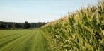 Landbouwgrond te huur gevraagd mais grasland grond, Ophalen of Verzenden, Zo goed als nieuw