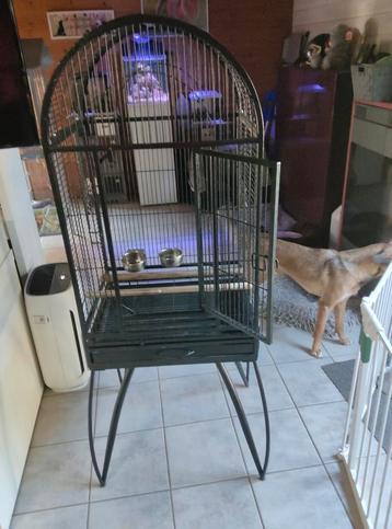 Mooie grote vogelkooi beschikbaar voor biedingen