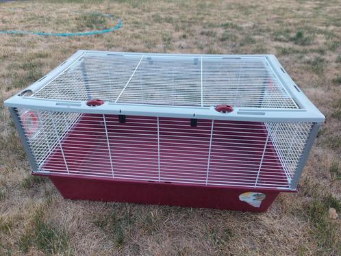 Dierenhok, Dieren en Toebehoren, Knaagdieren en Konijnen | Hokken en Kooien, Gebruikt, Hok, Minder dan 60 cm, 75 tot 110 cm, Cavia