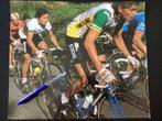 Wielerposter 1981 team gios vermeer thys fons de wolf signe, Ophalen of Verzenden, Zo goed als nieuw