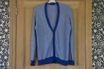 Gilet WE maat large blauw gestreept, Kleding | Heren, Maat 52/54 (L), WE, Blauw, Ophalen of Verzenden