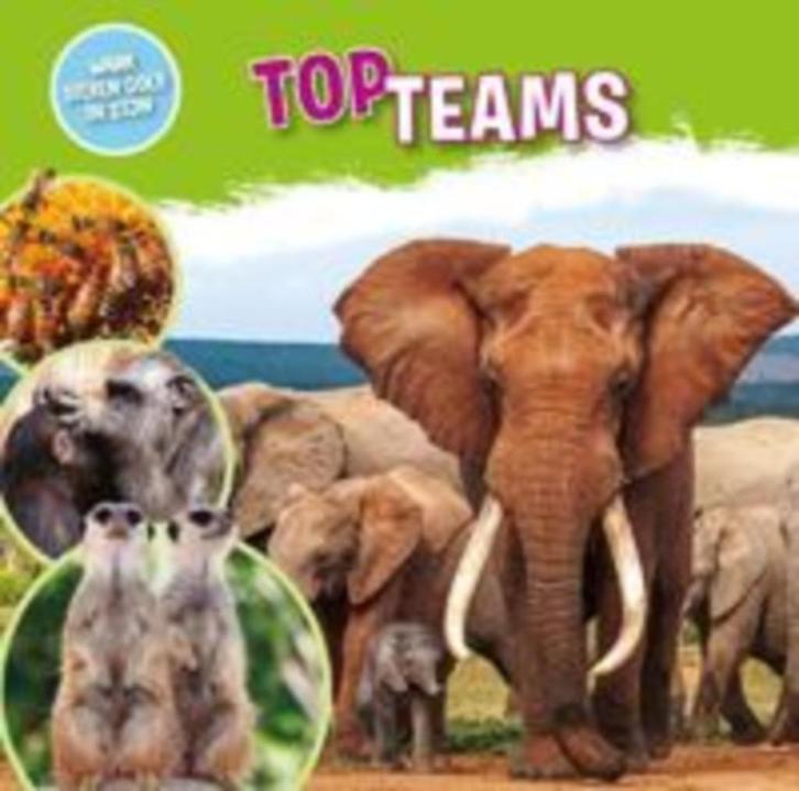 Nog nieuw boek Topteams, Boeken, Kinderboeken | Jeugd | onder 10 jaar, Nieuw, Non-fictie, Ophalen of Verzenden