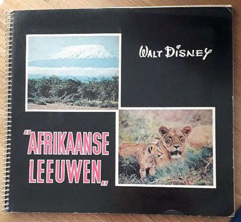 Prentjesalbum - "Afrikaanse leeuwen" - Walt Disney, Hobby en Vrije tijd, Stickers en Plaatjes, Gebruikt, Ophalen of Verzenden