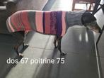 Pull galgo, Dieren en Toebehoren, Hondenkleding, Verzenden, Nieuw, Hondentrui