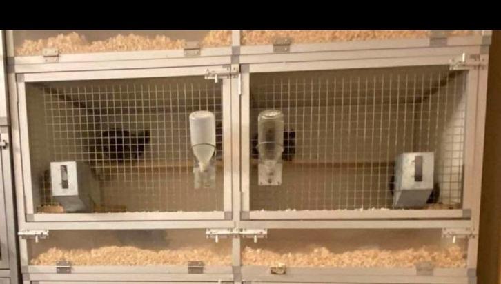 Chinchilla hok/kooi, Dieren en Toebehoren, Knaagdieren en Konijnen | Hokken en Kooien, Gebruikt, Hok, Chinchilla, Ophalen