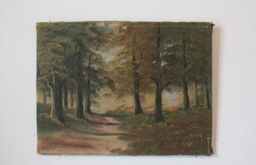 Van Looy- Authentiek schilderij op doek - boslandschap, Antiek en Kunst, Kunst | Schilderijen | Klassiek, Ophalen of Verzenden