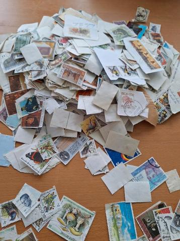 Postzegels voornamelijk Belgisch beschikbaar voor biedingen
