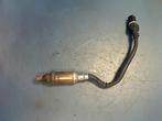 Lambdasonde bmw 3-serie e46, Ophalen, Gebruikt, BMW