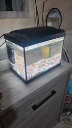 Superfish start 50 Aquarium met filter en Led verlichting, Dieren en Toebehoren, Ophalen of Verzenden, Gebruikt, Gevuld zoetwateraquarium