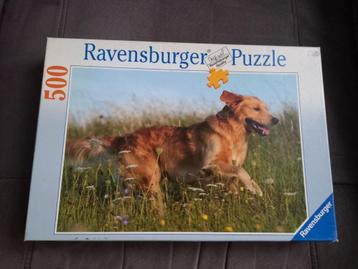 Ravensburger 500 stuks - Hond in Bloemenwei beschikbaar voor biedingen