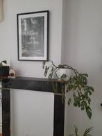 Monstera met bloempot Mica, Huis en Inrichting, Ophalen
