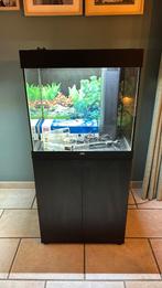 Aquarium Juwel Lido 120 avec meuble / noir, Enlèvement, Utilisé, Aquarium vide