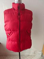 EDC (Esprit) rode dames bodywarmer met binnenzakjes, maat M, Vêtements | Femmes, Blousons sans Manches, Rouge, Taille 38/40 (M)