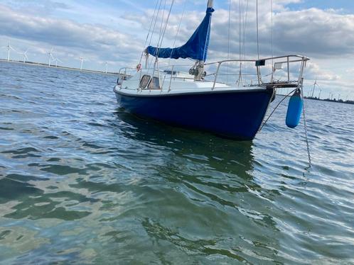 Zeilboot Midget 20 te koop, Watersport en Boten, Kajuitzeilboten en Zeiljachten, Gebruikt, Polyester, 6 tot 9 meter, Benzine, Ophalen