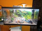 Aquarium complet 60/30/32, Animaux & Accessoires, Enlèvement, Utilisé, Aquarium vide