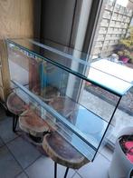 Terrarium van 1m lang., Dieren en Toebehoren, Ophalen, Zo goed als nieuw