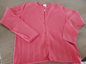 vest maat 140 beschikbaar voor biedingen