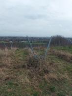 Palissage en lyre pour vignes, Enlèvement