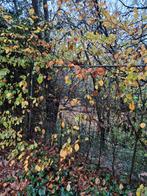 Heras hekken, Tuin en Terras, Ophalen