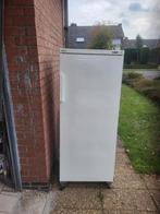 Vriezer, Elektronische apparatuur, Vriezers en Diepvrieskisten, Ophalen, Gebruikt, 160 cm of meer, Vrijstaand