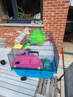 Hamster kooi luxe met veel toebehoren, Comme neuf, Enlèvement ou Envoi