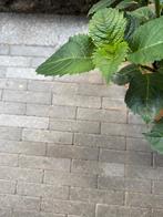 Betonklinkers arduinblauw, Tuin en Terras, Tegels en Klinkers, Ophalen, Klinkers, Nieuw, Minder dan 5 m²