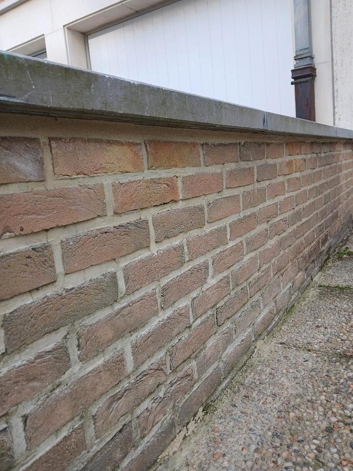 Maçonnerie et pavage, Tuin en Terras, Tegels en Klinkers, Nieuw, Overige typen, Overige materialen, 10 m² of meer, Gecoat, Gestraald