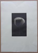 MIKIO WATANABE / METAMORPHOSE / ZW-W MEZZOTINT 53x57cm SIG, Enlèvement ou Envoi